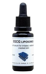 EGCG-Liposomen | EGCG в липосомальной дисперсії DERMAVIDUALS, 20 мл